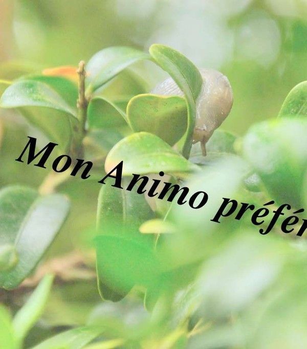 126548901ème Article, alinéa 657.